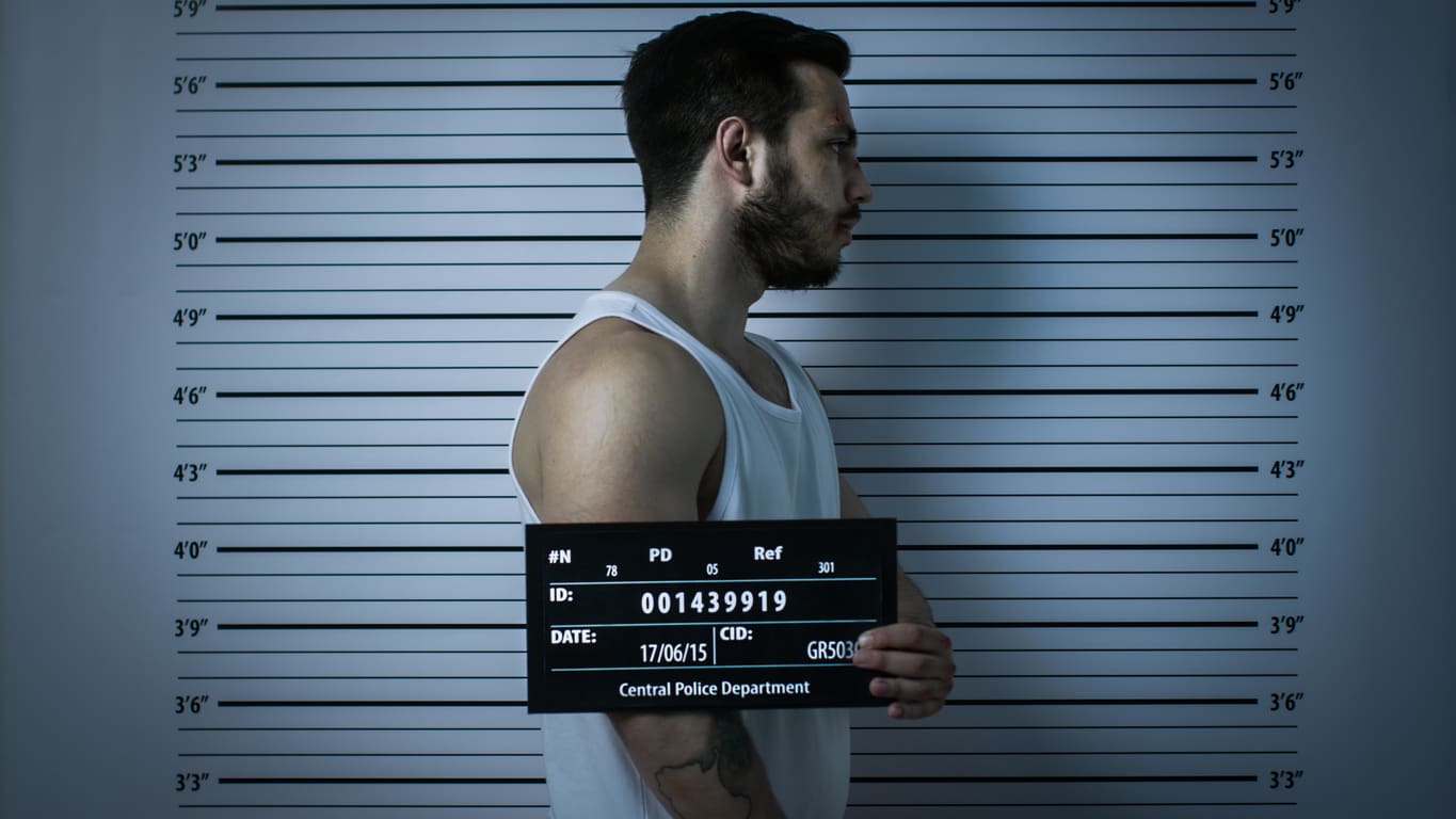 Are mugshots public domain in the United States?
