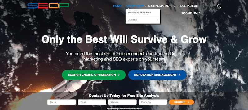 A website featuring the top 5 reputation management companies with a focus on SEO.