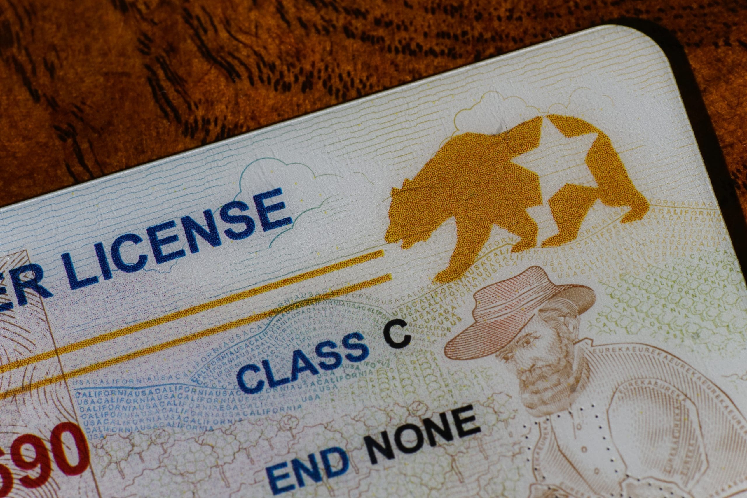 Close-up of a california driver license featuring a bear and intricate background designs.